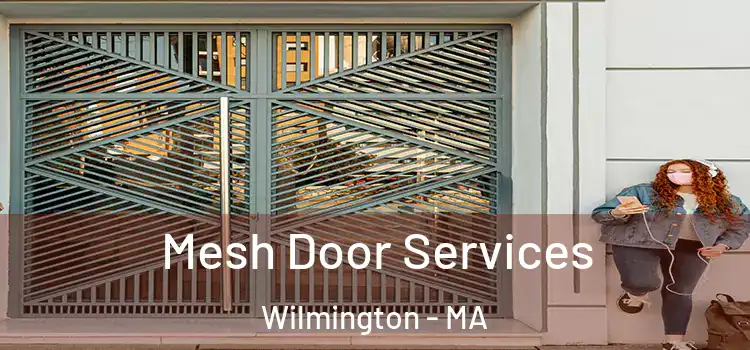 Mesh Door Services Wilmington - MA